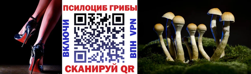 купить закладку  Белгород  Псилоцибиновые грибы MAGIC MUSHROOMS 